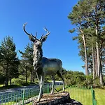 The Steadings, At The Grouse & Trout