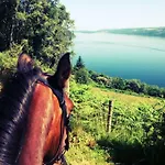 Loch Ness B And B