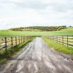 Drumlochy B&B