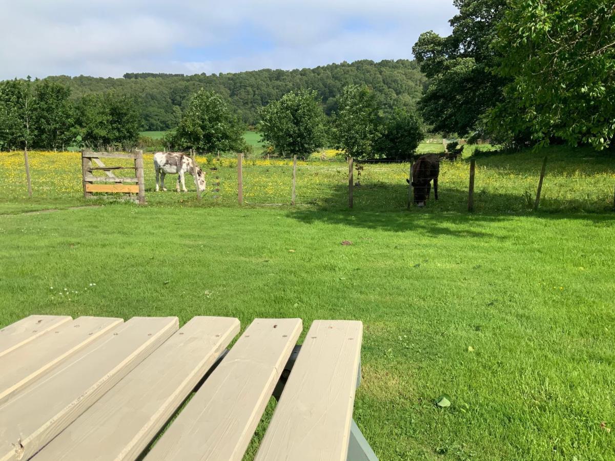 Antfield Farm House Guest house *