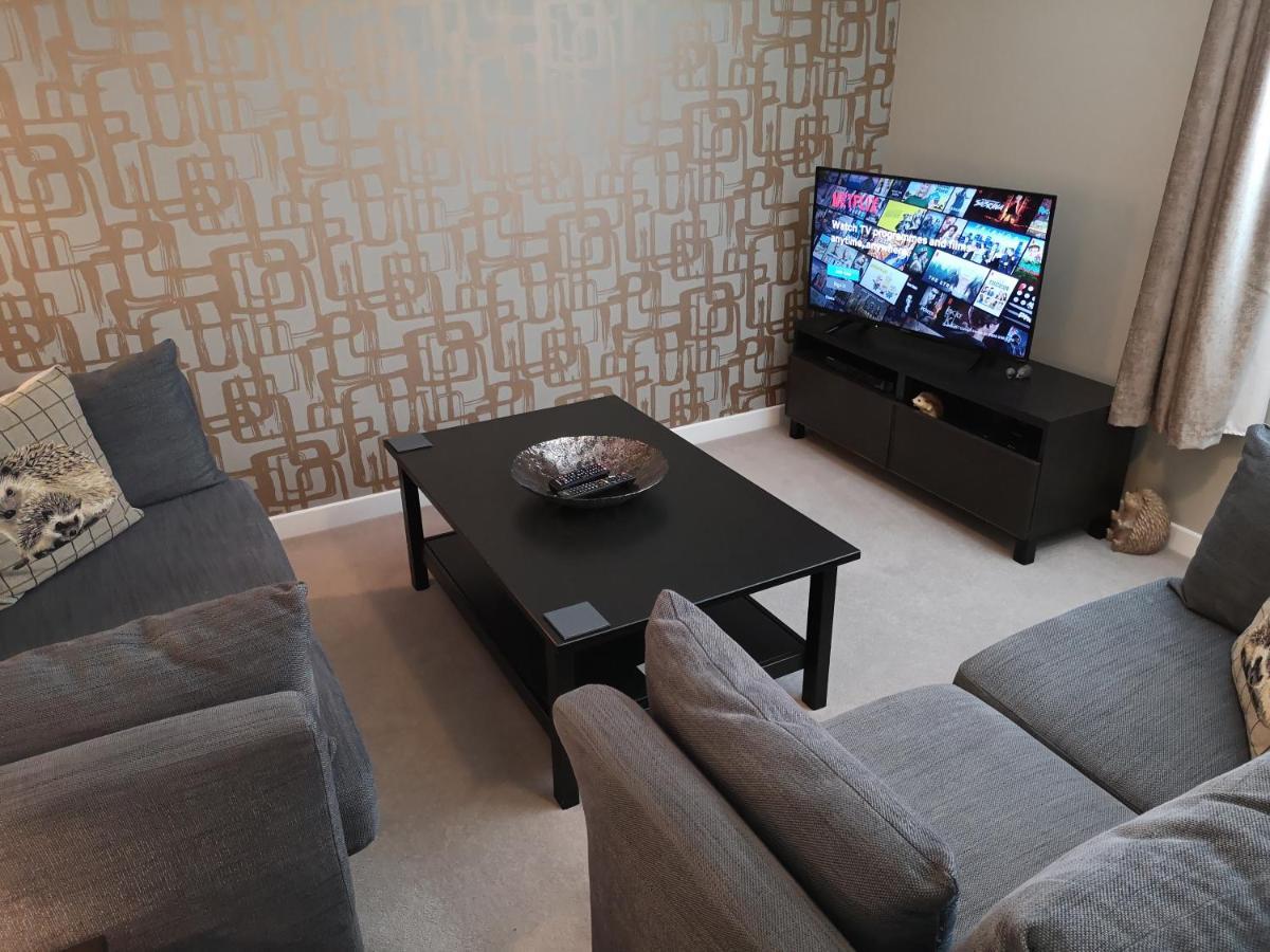 The Hedgehogs Apartamento