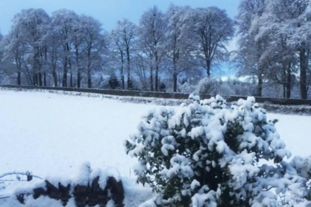 Tomax Garden Free Parking