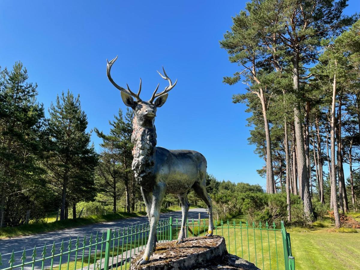 The Steadings, At The Grouse & Trout