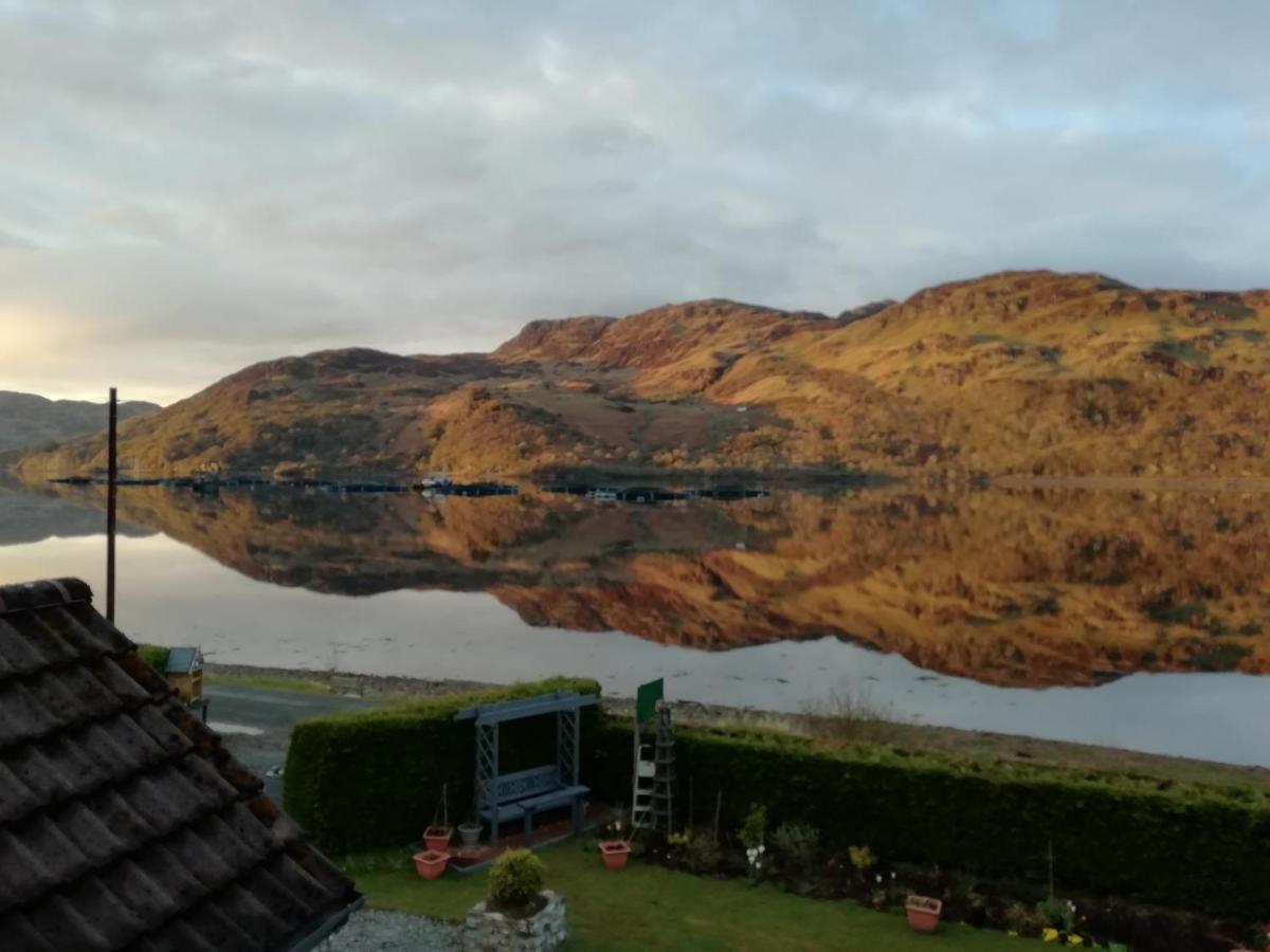 Bed & Breakfast Toads Croak Inverness