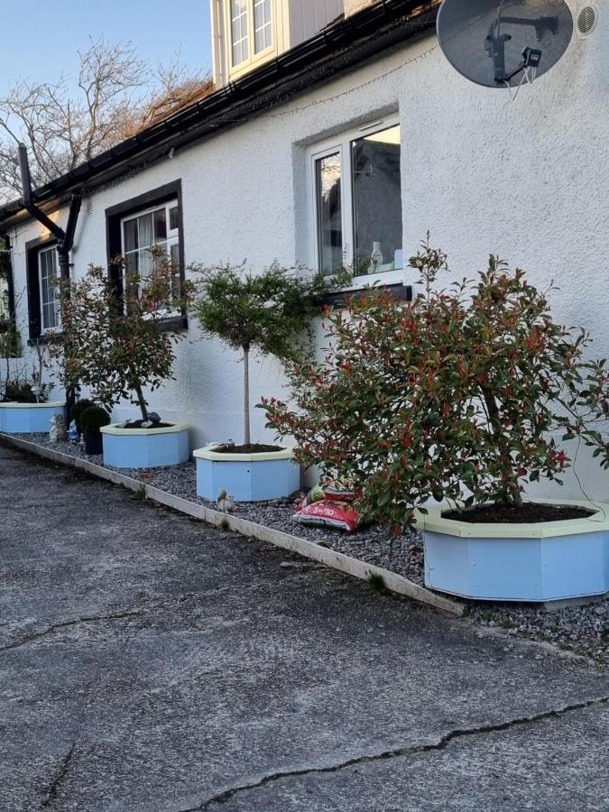 The Little Garden Hoose *