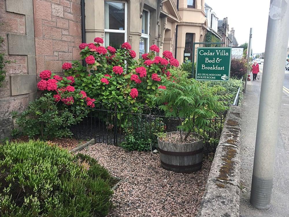 Cedar Bed & Breakfast 3*