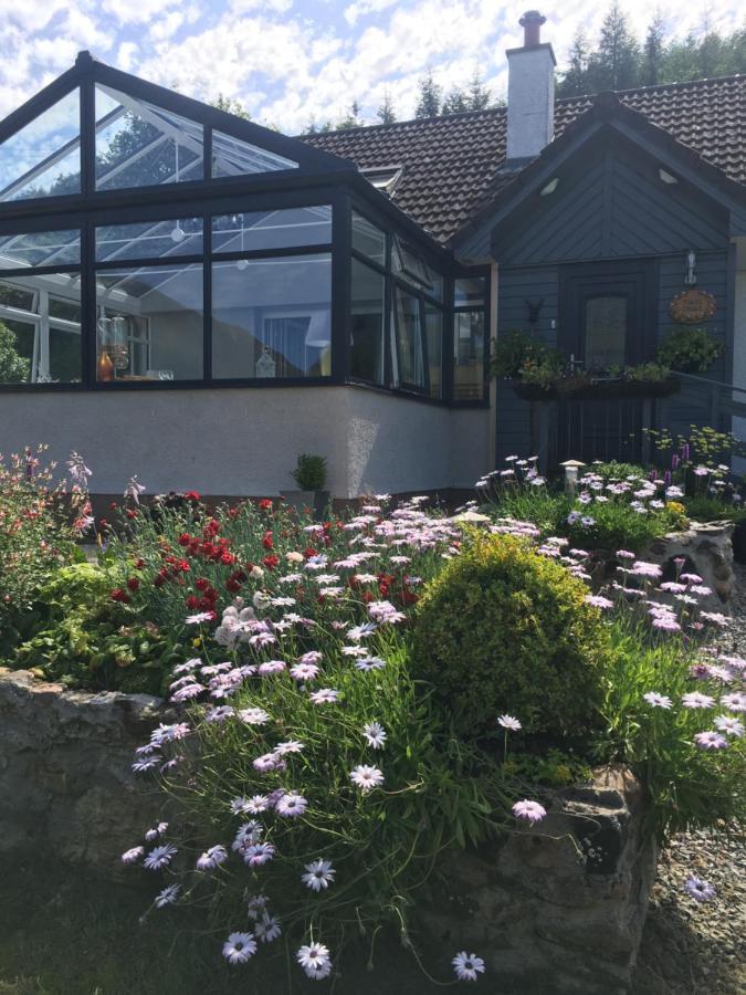 Bed & Breakfast Toads Croak Inverness