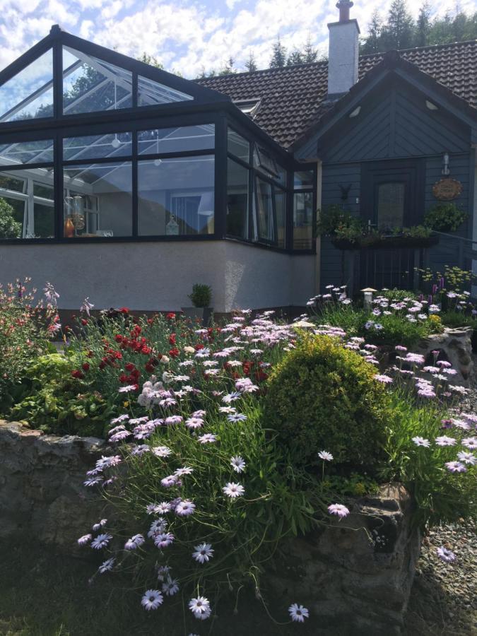 Toads Croak Bed & Breakfast Inverness