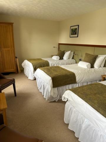 Inverglen Guest house Inverness