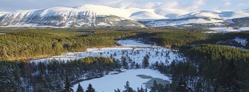 Bonny Vista * Inverness