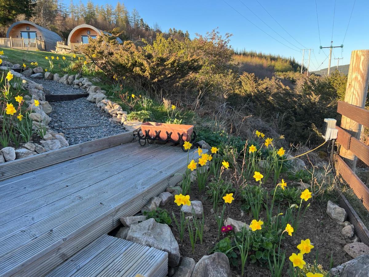 Daviot Luxury Pods Campsite