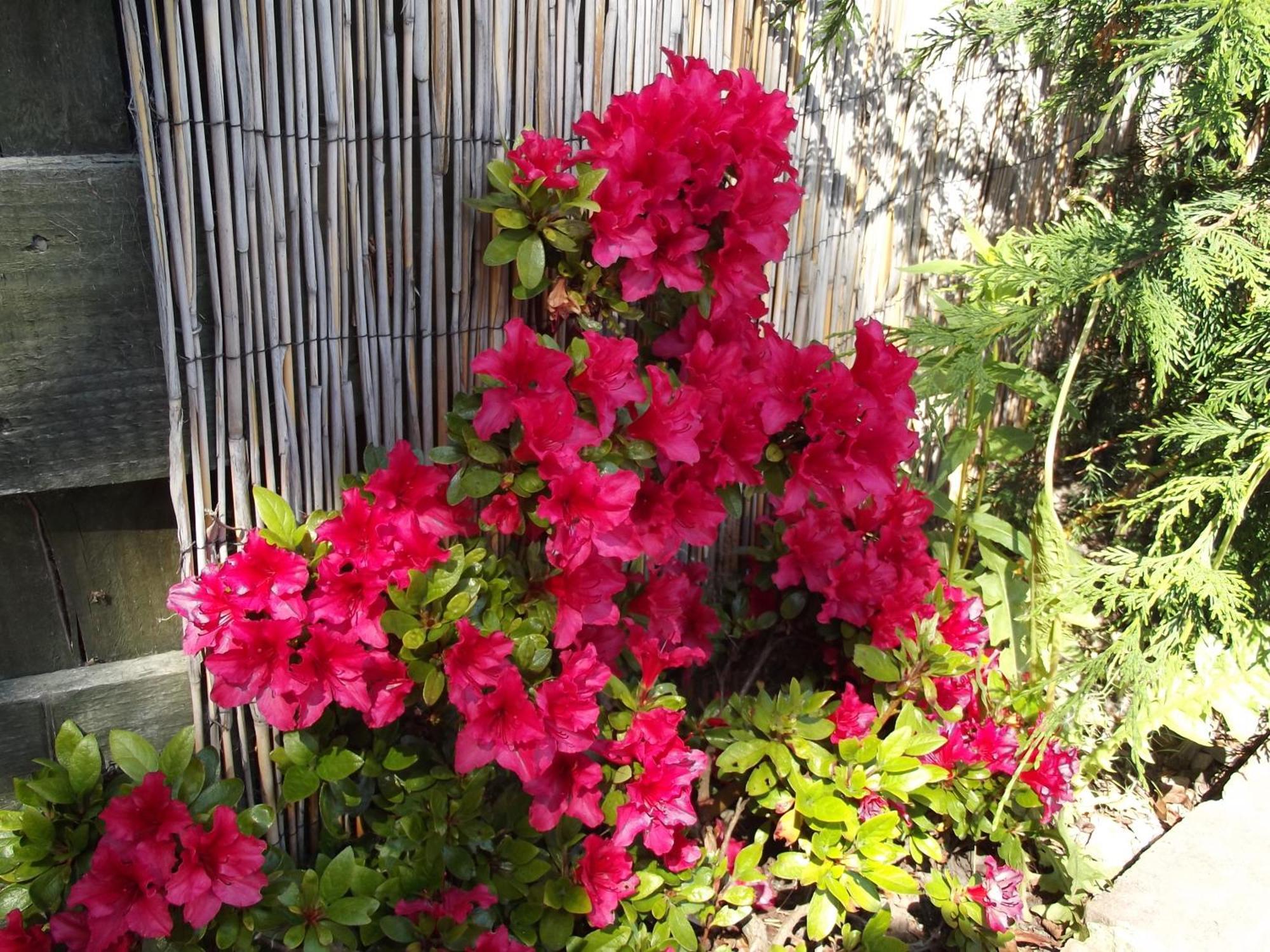 Ardmeanach Bed & Breakfast 3*