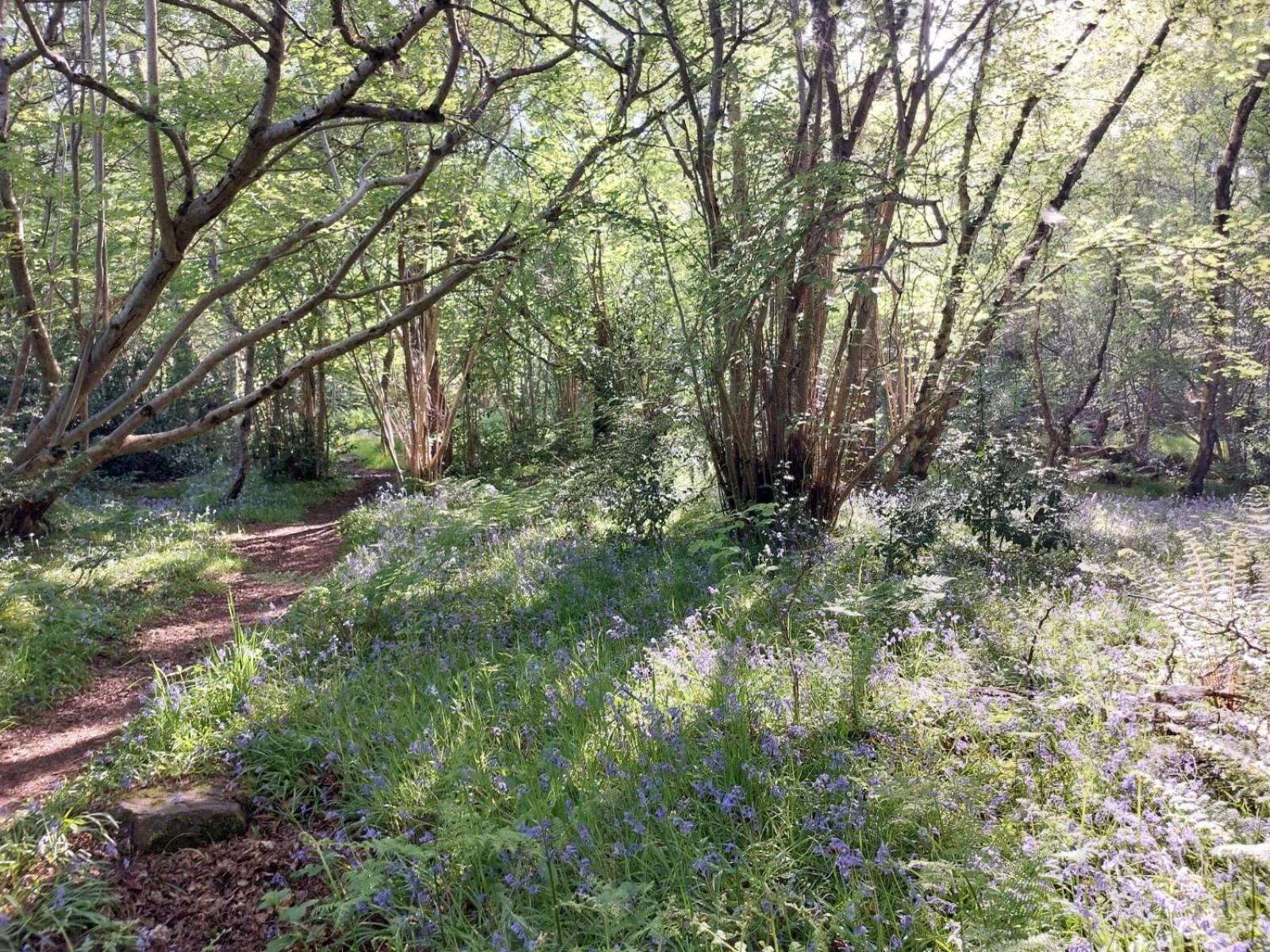 Apartamento Treetops - Bright 2 Bed Flat - Super Location *