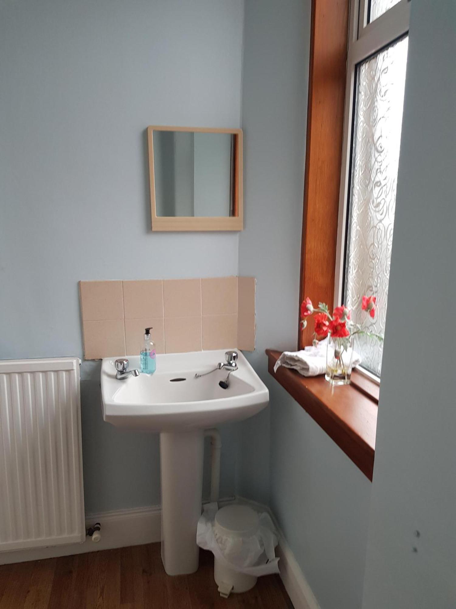 Cedar 3*