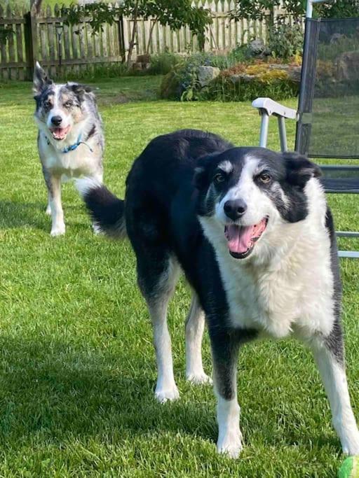 Holiday home Highland Rural Farm Retreat,loch Ness, Nc500, Beauly