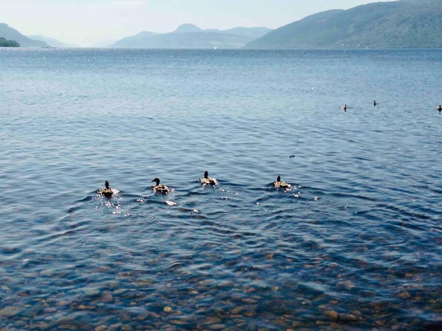 The Pod At Loch Ness Heights At Athbhinn, Iv26tu *