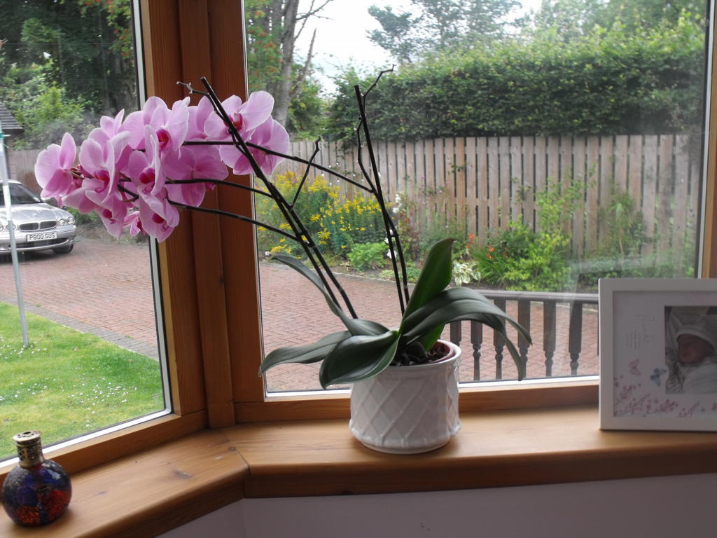 Bed & Breakfast Arisaig *