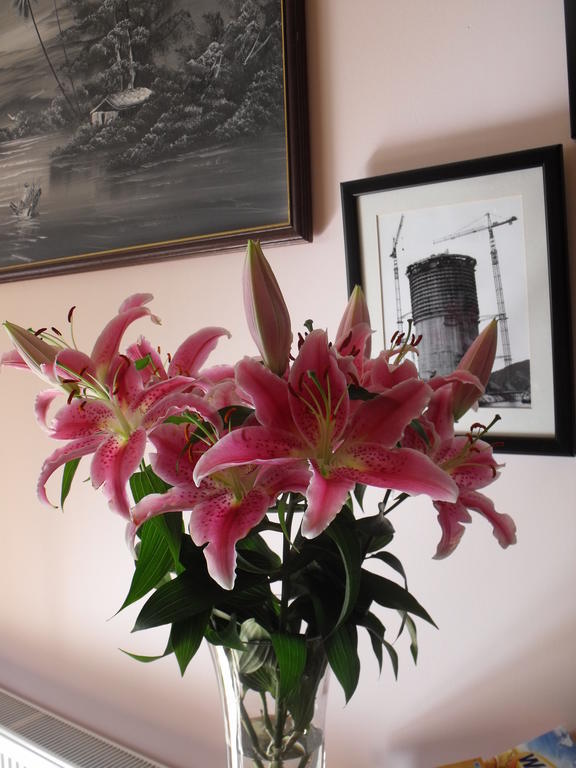 Bed & Breakfast Arisaig Inverness