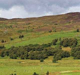 Steadings Hotel