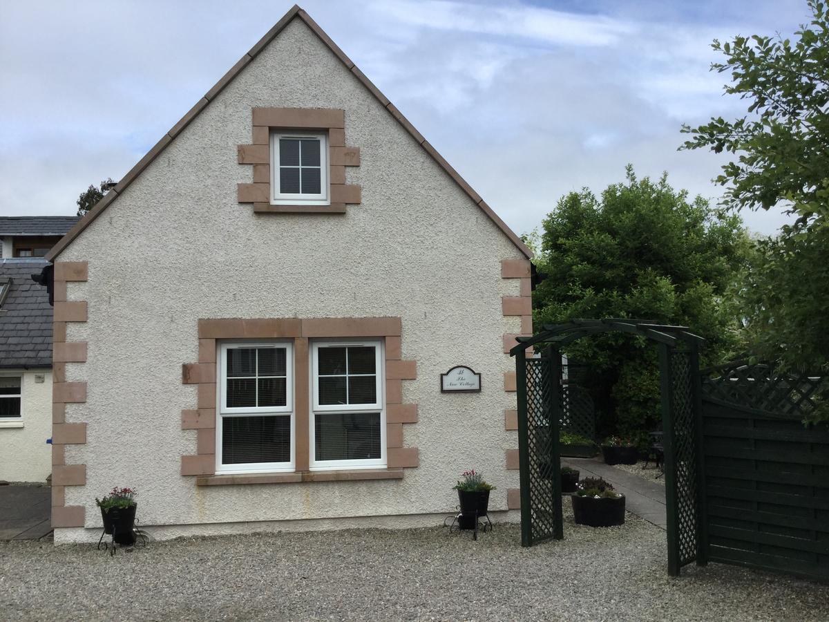 New 3 Bedroom Free Parking Apartment