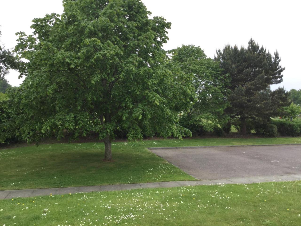Two Bedroom Glen View Free Parking Apartment *