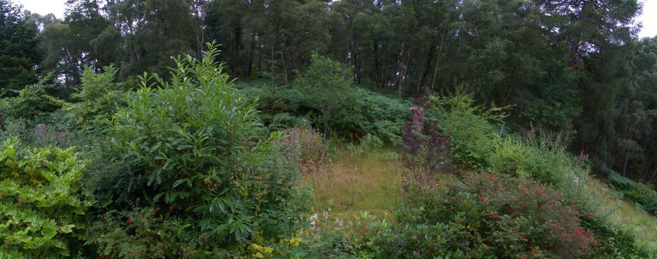 Pottery House Loch Ness Bed & Breakfast *