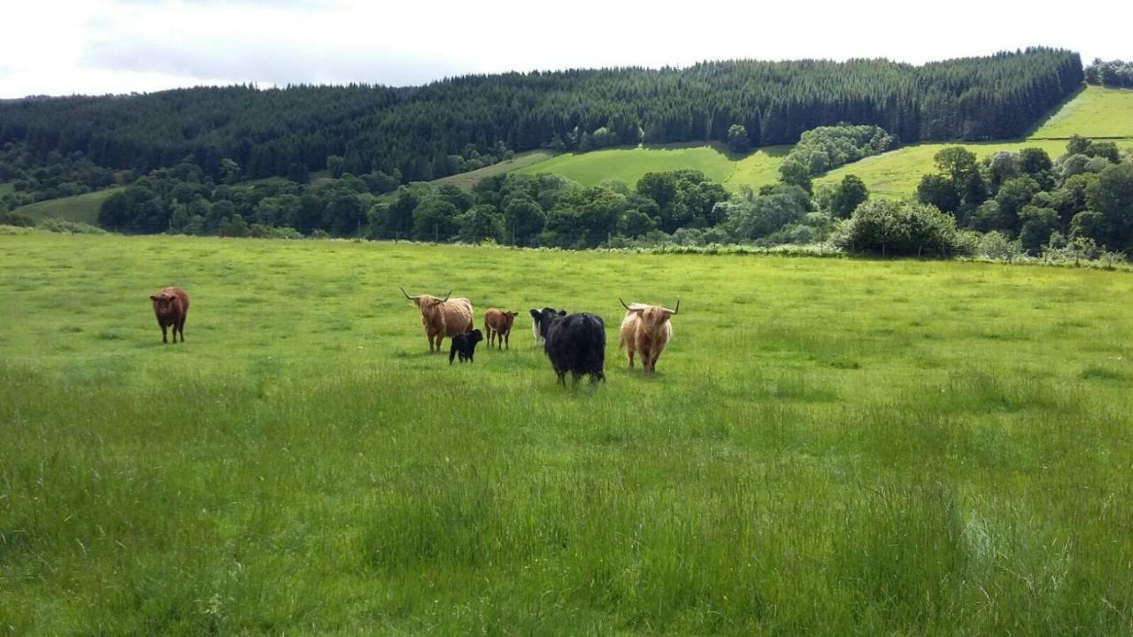 Bed & Breakfast Loch Ness Inverness