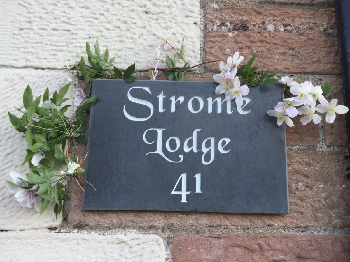 Strome 4*