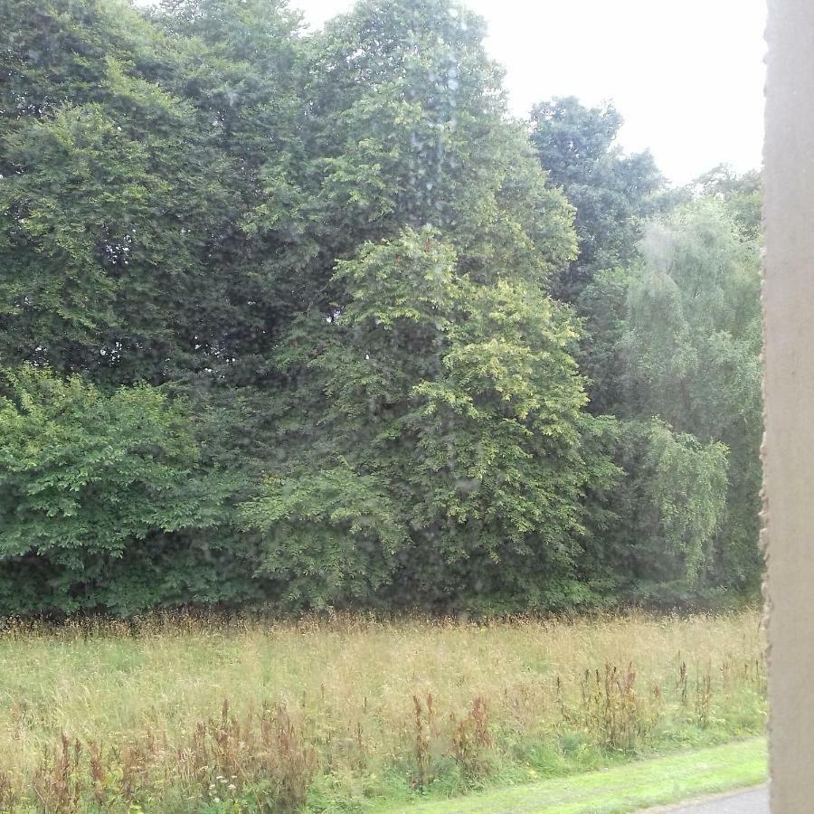 Culduthel Vista *
